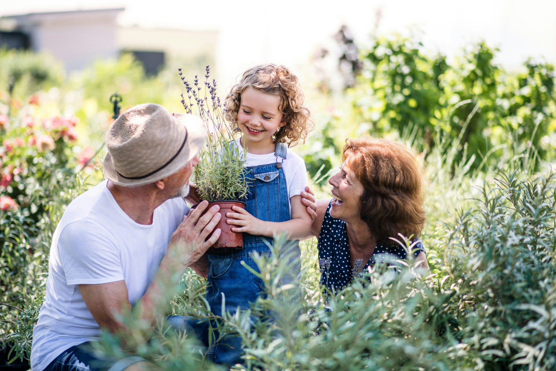 Grandparents and a young child holding a potted lavender plant together in a garden